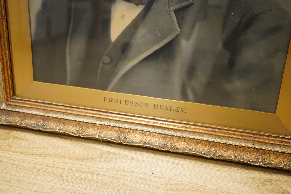 A pair of black and white photographs of Professor Huckley and Lord Kelvin, framed